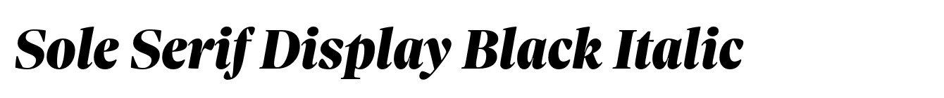 Sole Serif Display Black Italic image